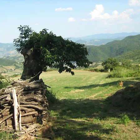 La Piana Dei Castagni-2